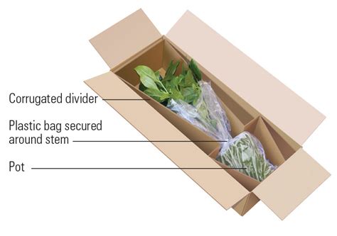 how to ship plants